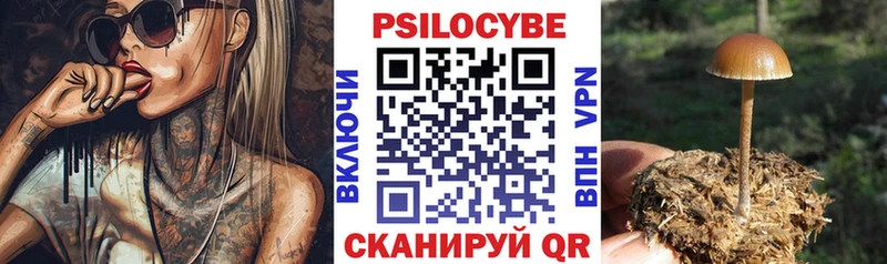 Псилоцибиновые грибы мухоморы  купить закладку  Сорск 